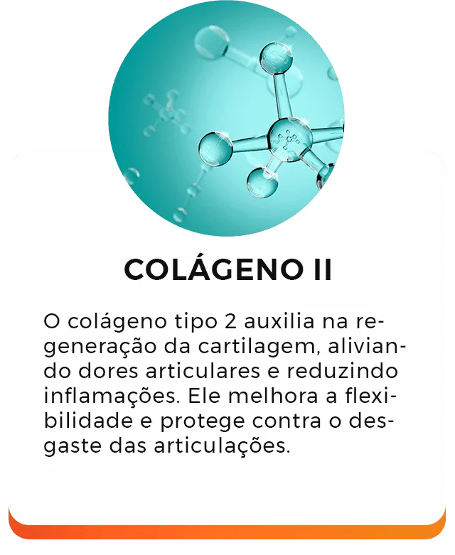 Colágeno II
