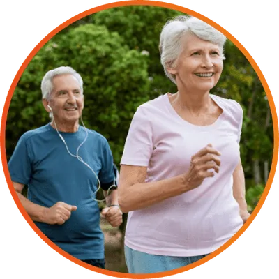 Passo 3 — Os nutrientes são absorvidos